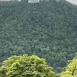 Livada 公寓 布拉索夫
