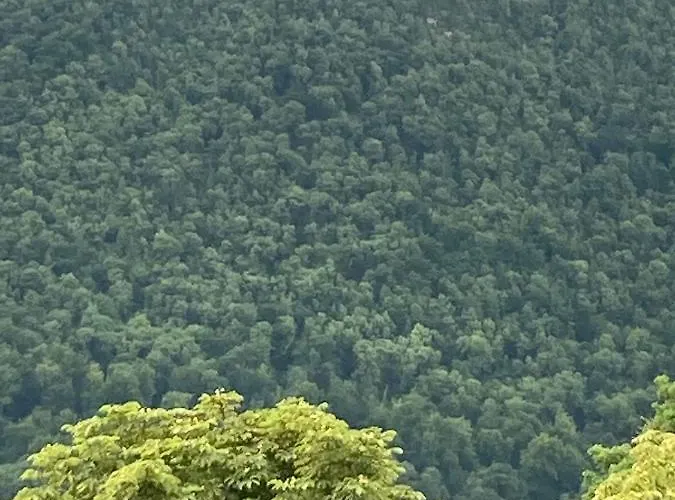 Livada 公寓 布拉索夫